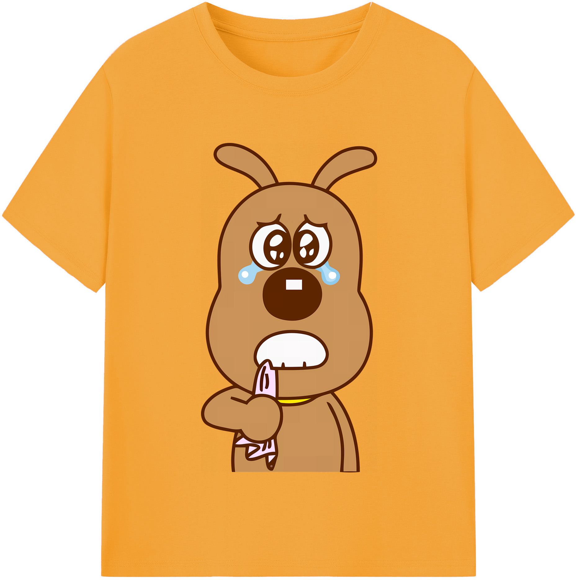 （画像用） アンパンマン Anpanman 綿100％半袖Tシャツ（フロントプリント）