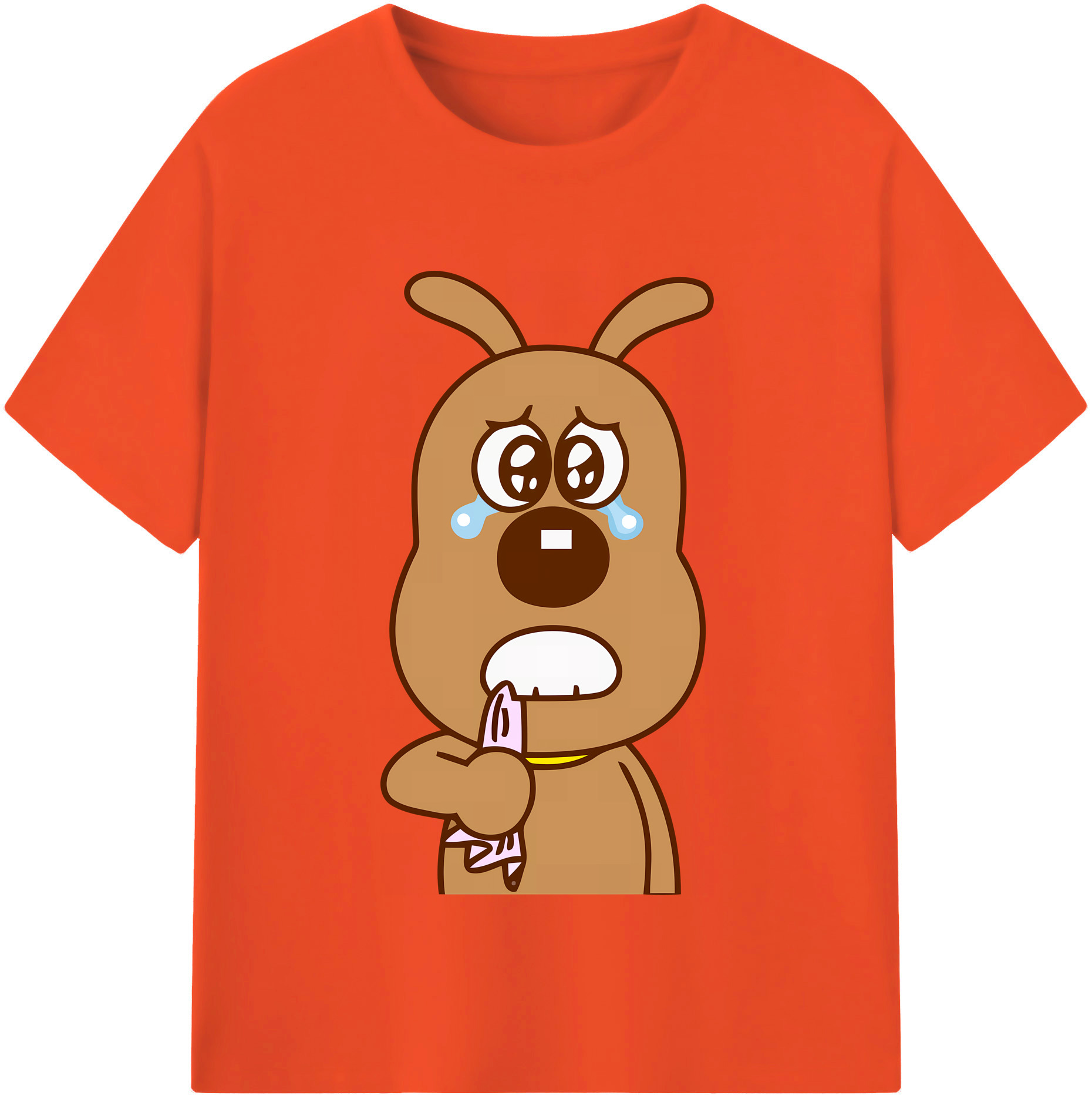 （画像用） アンパンマン Anpanman 綿100％半袖Tシャツ（フロントプリント）