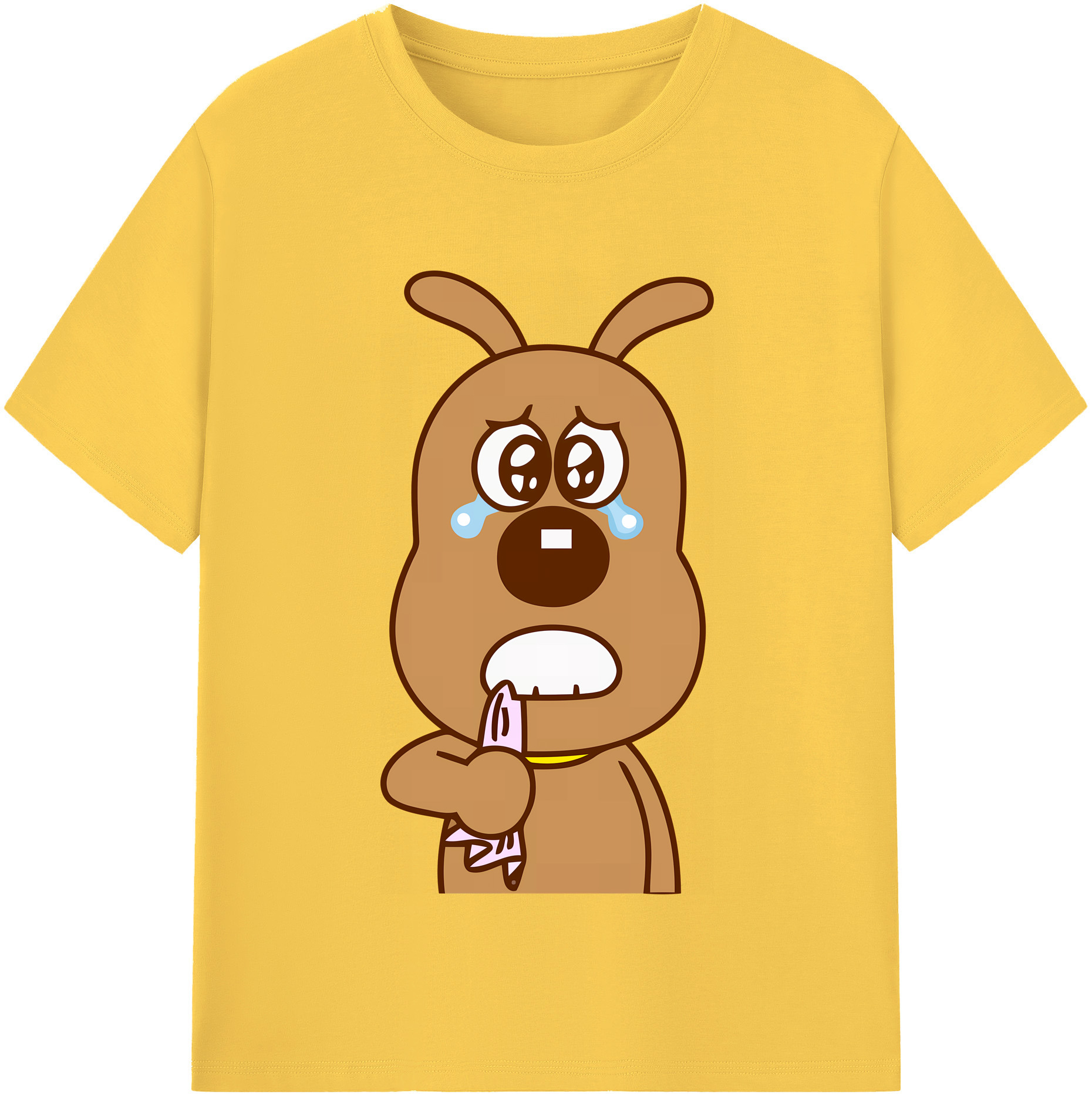 （画像用） アンパンマン Anpanman 綿100％半袖Tシャツ（フロントプリント）